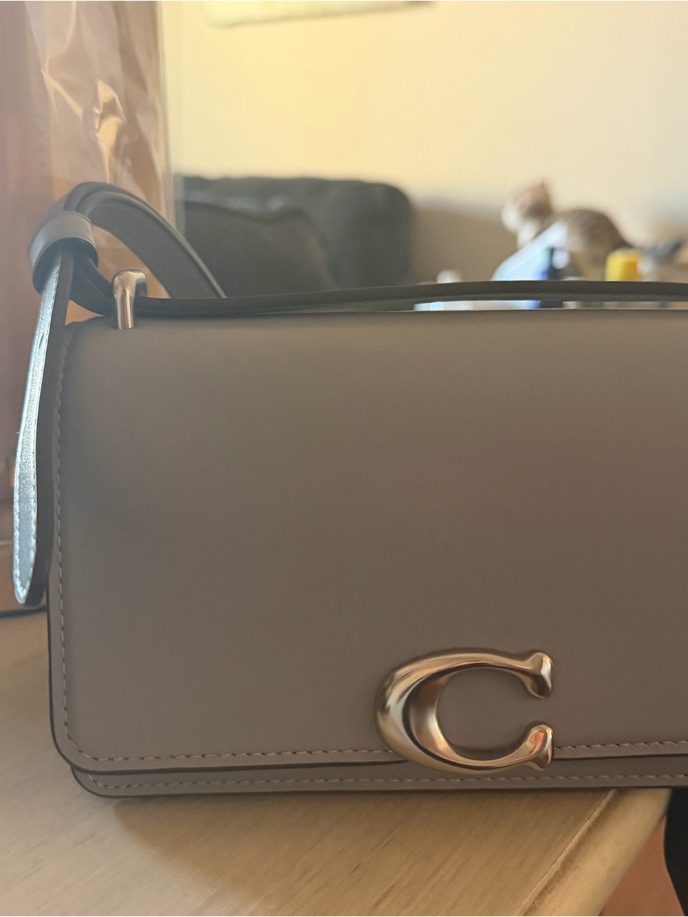 Coach light blue Leather bandit Crossbody Bag